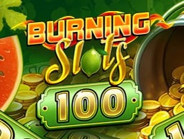 Burning Slots 100 screenshot